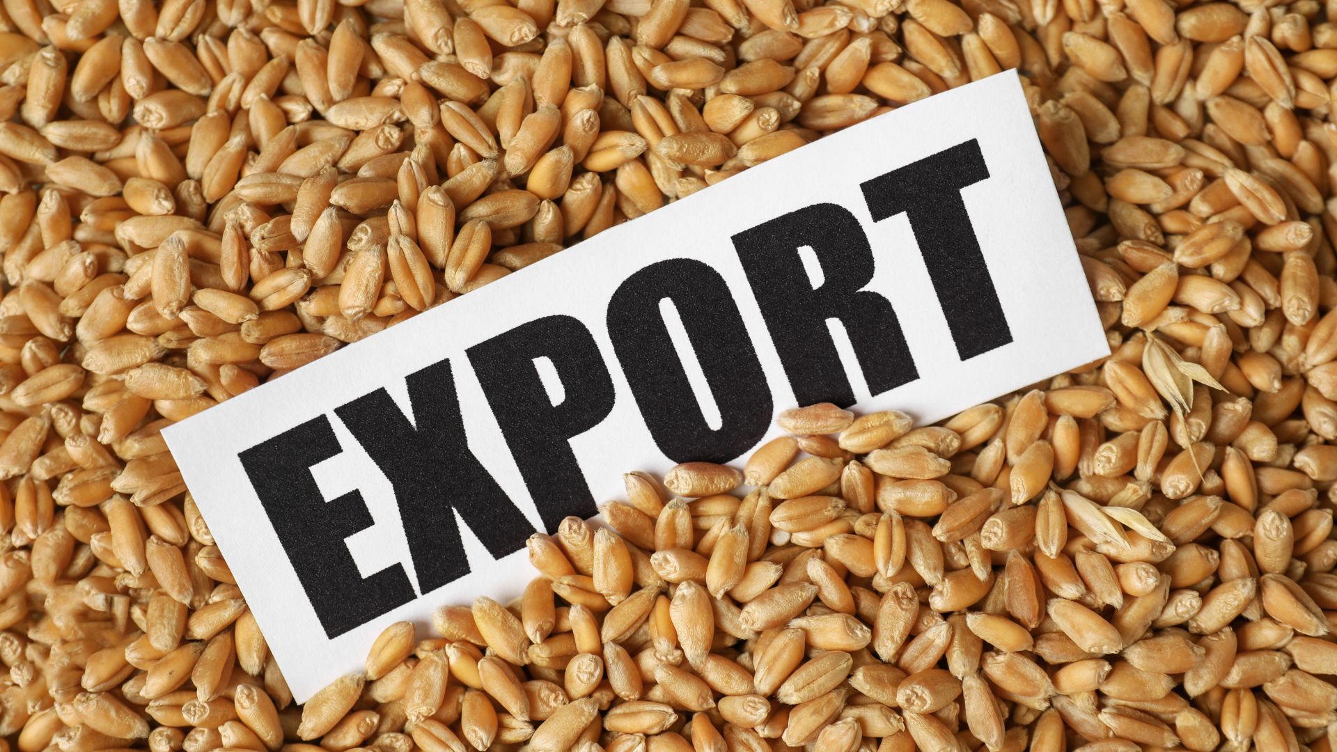 Export de cereale