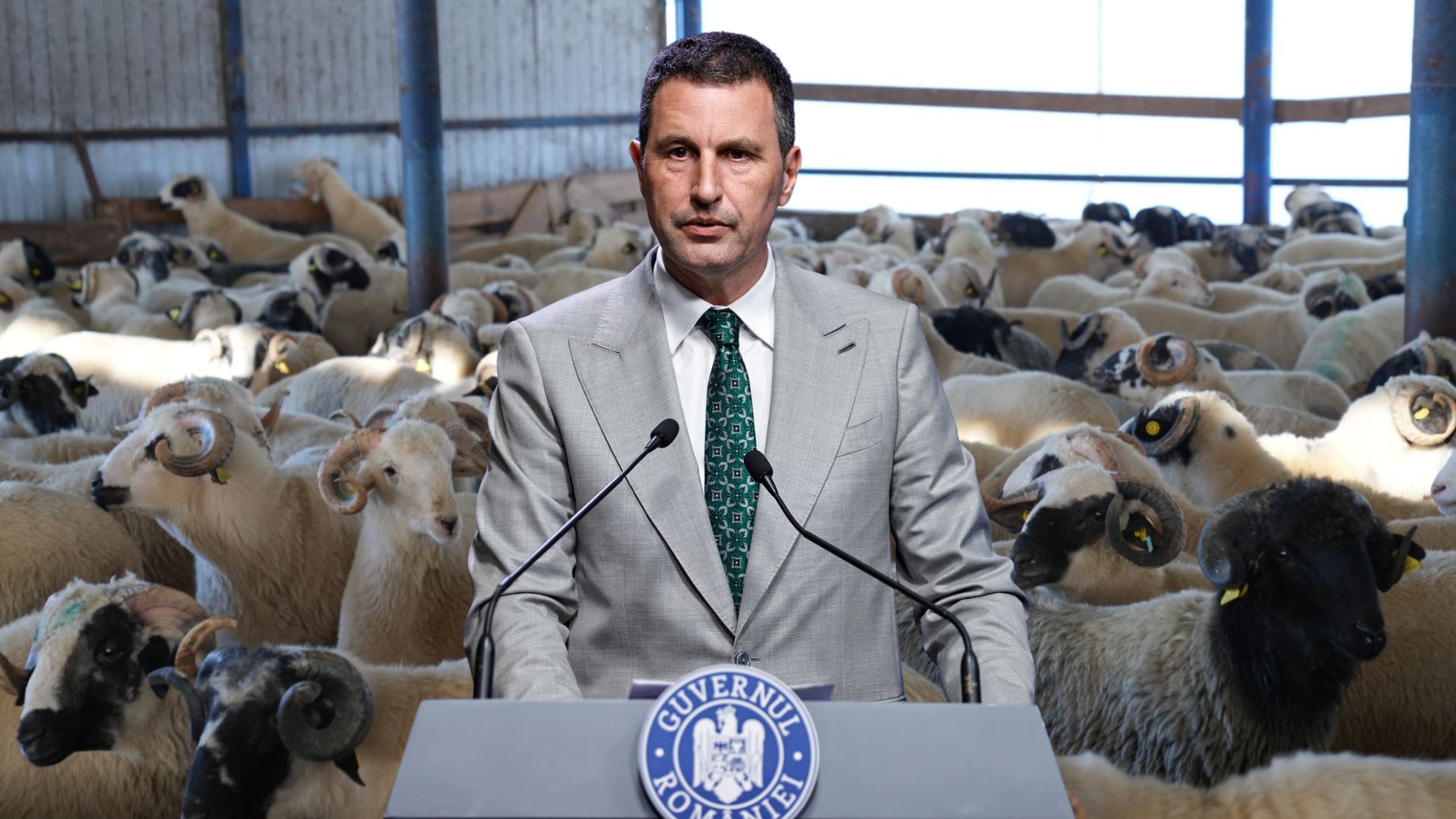 Tanczos Barna despre deblocarea exporturilor de ovine