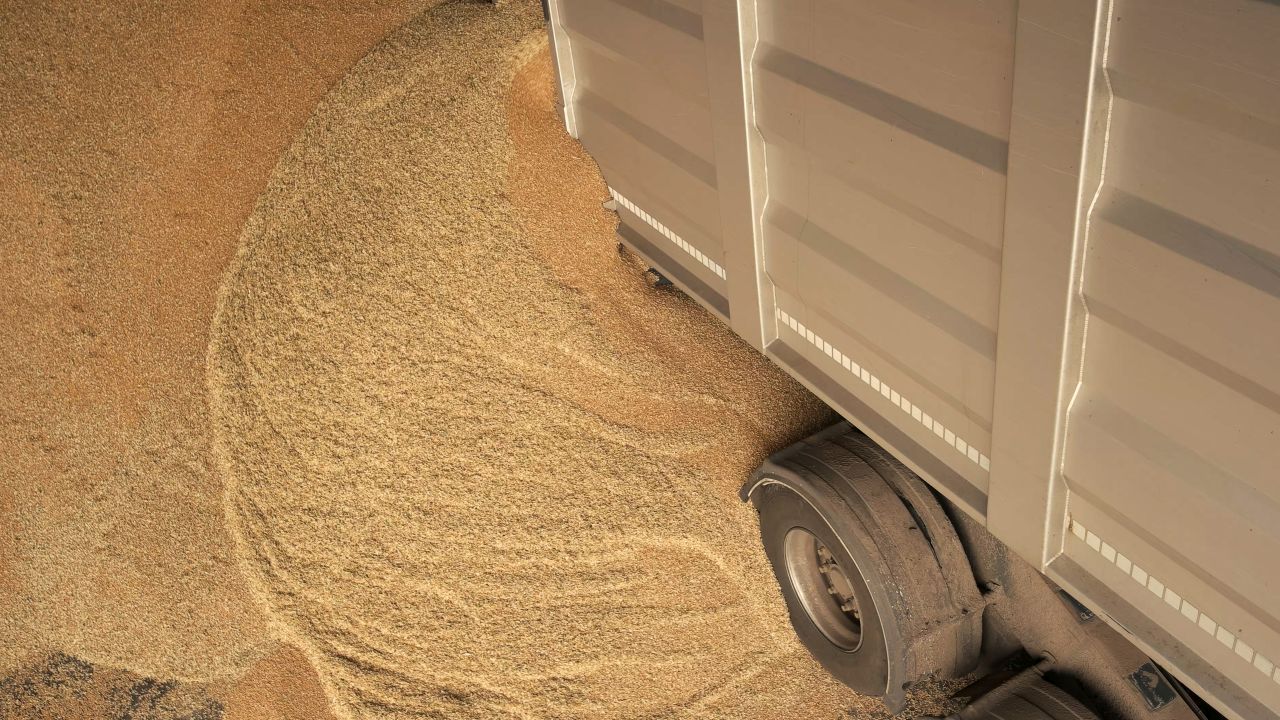 Descărcarea grâului din camion