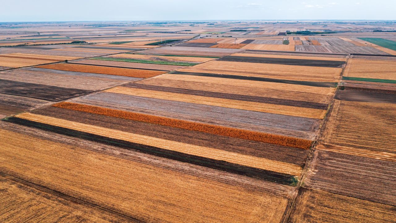 Agricultură în Serbia