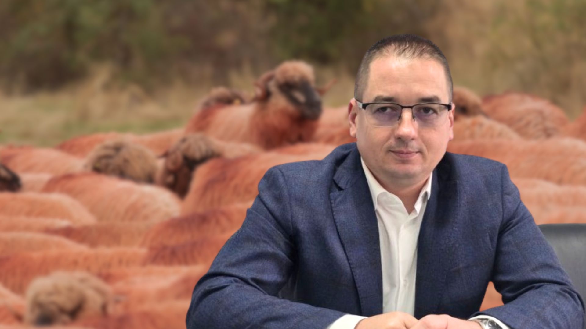 Alexandru Bociu, poză cu oi