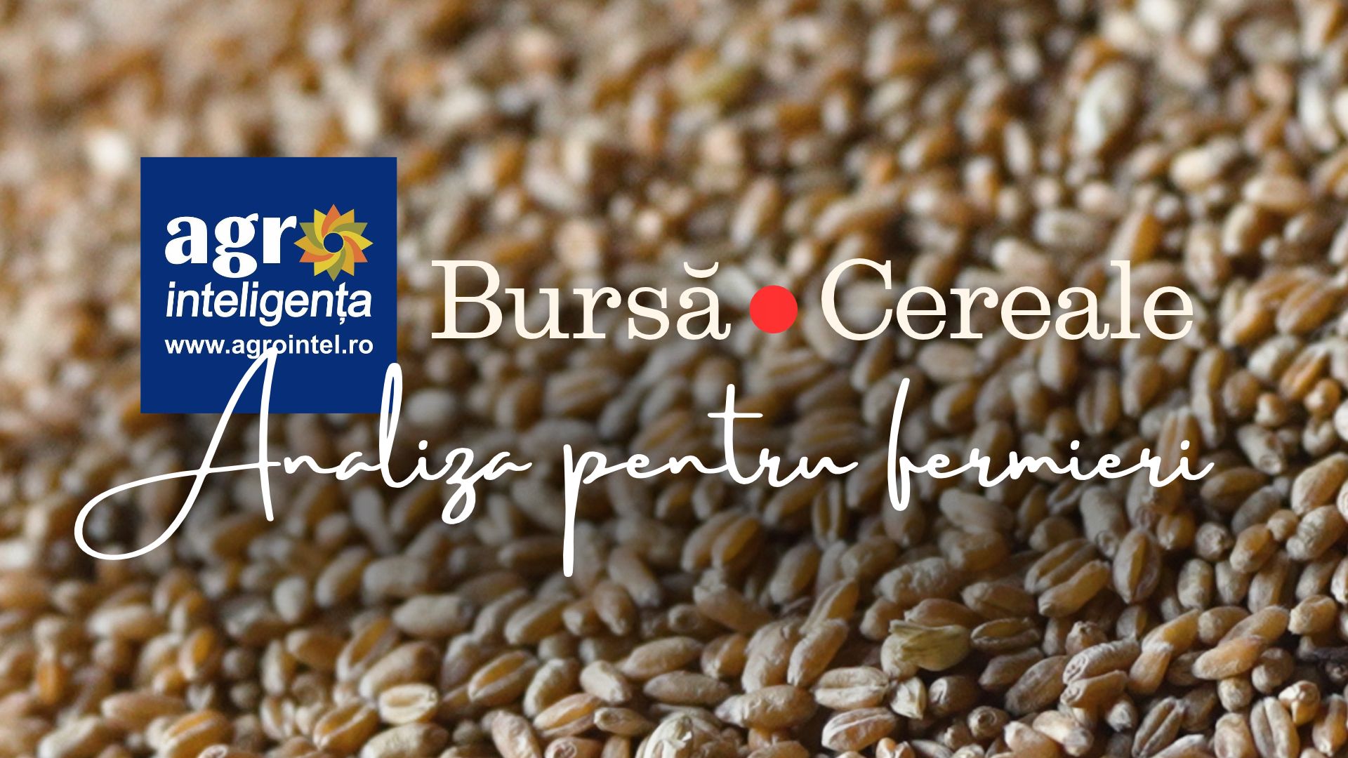 Analiza pieței de cereale