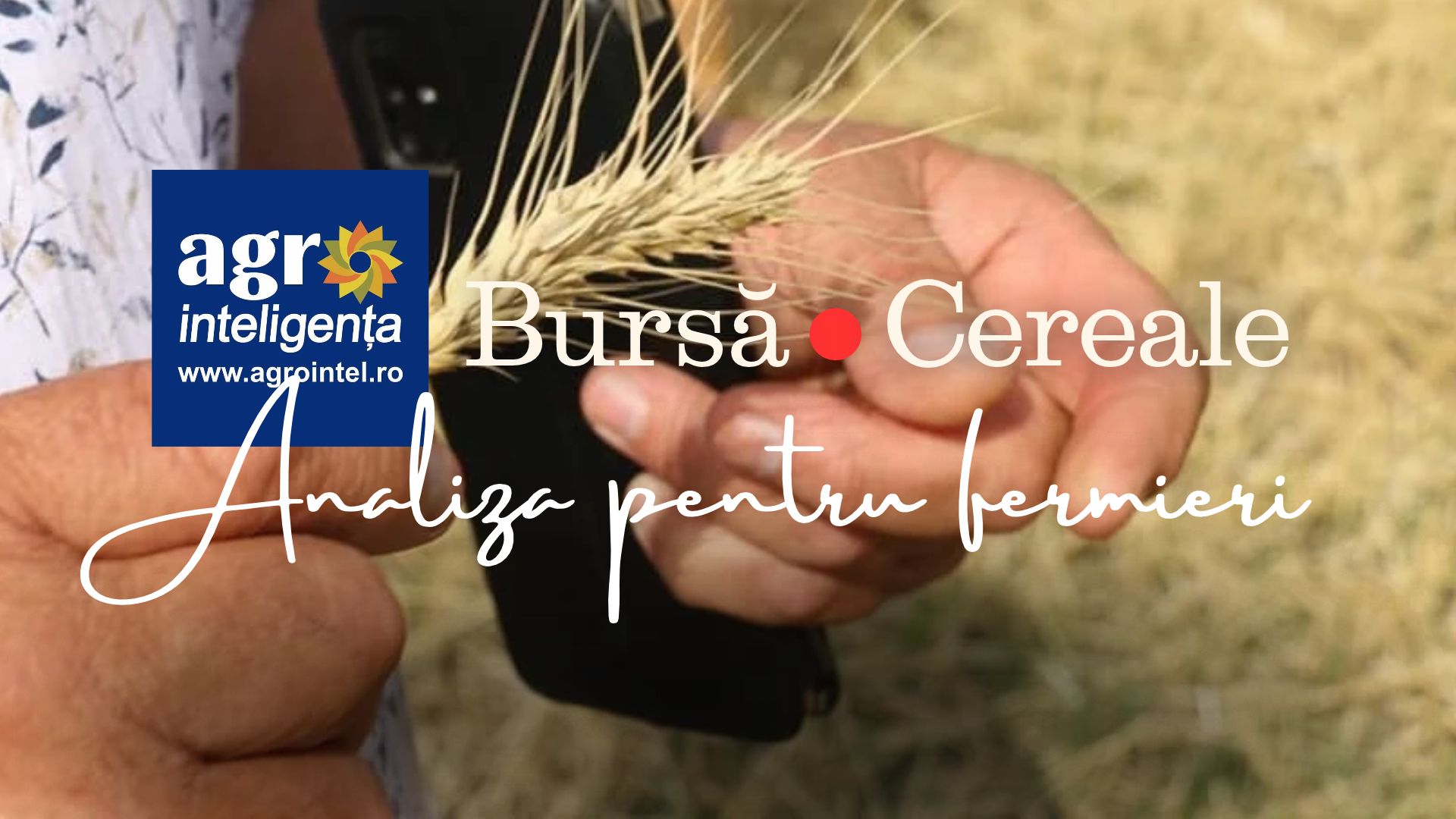 Analiză piața de cereale