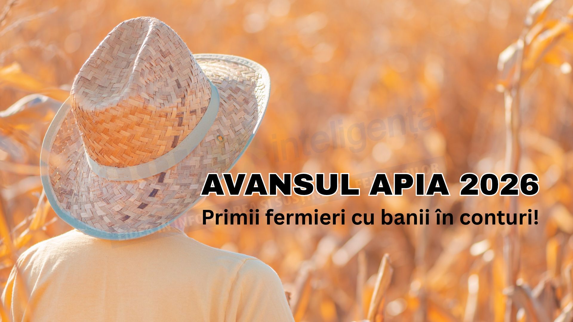 Avans APIA în conturi