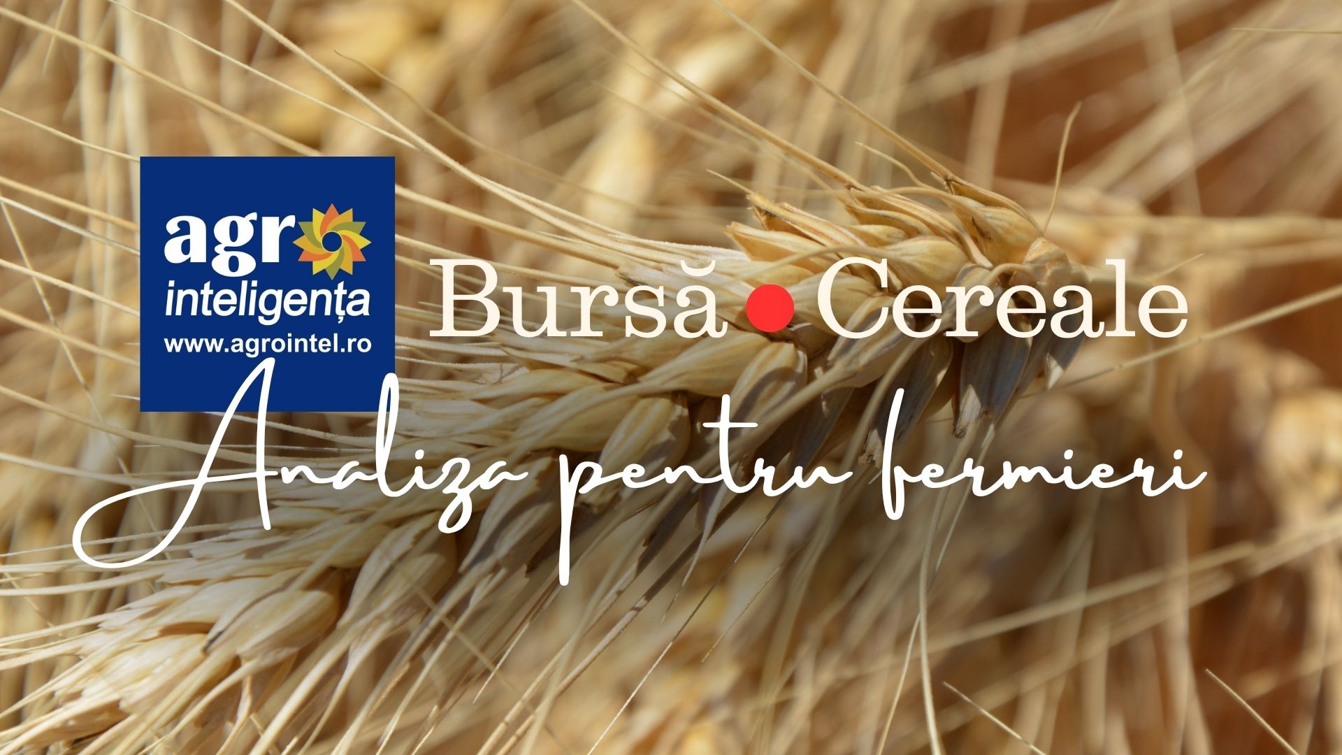 Analiză piața de cereale