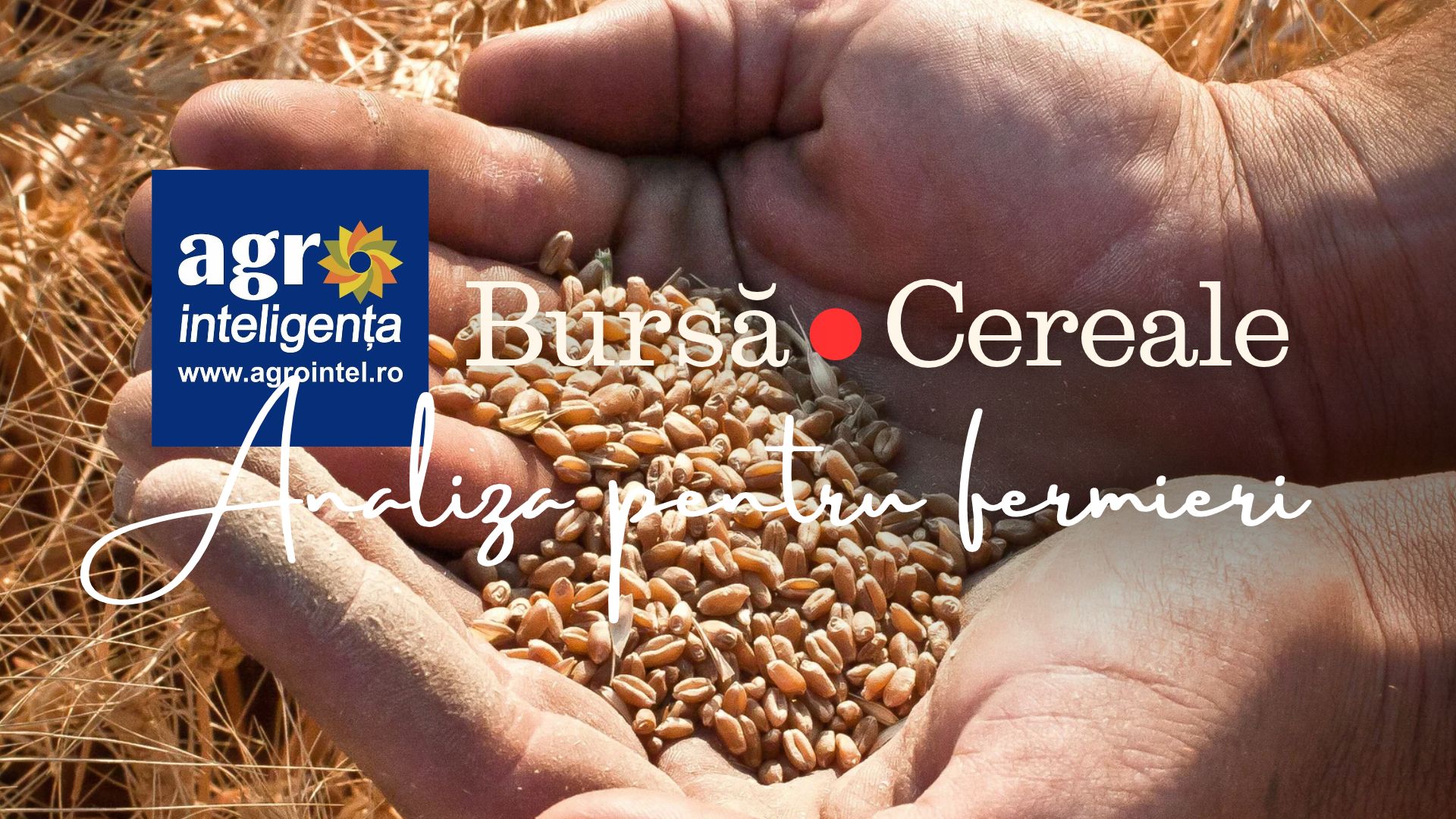 Bursa de cereale - luni, 5 octombrie 2026