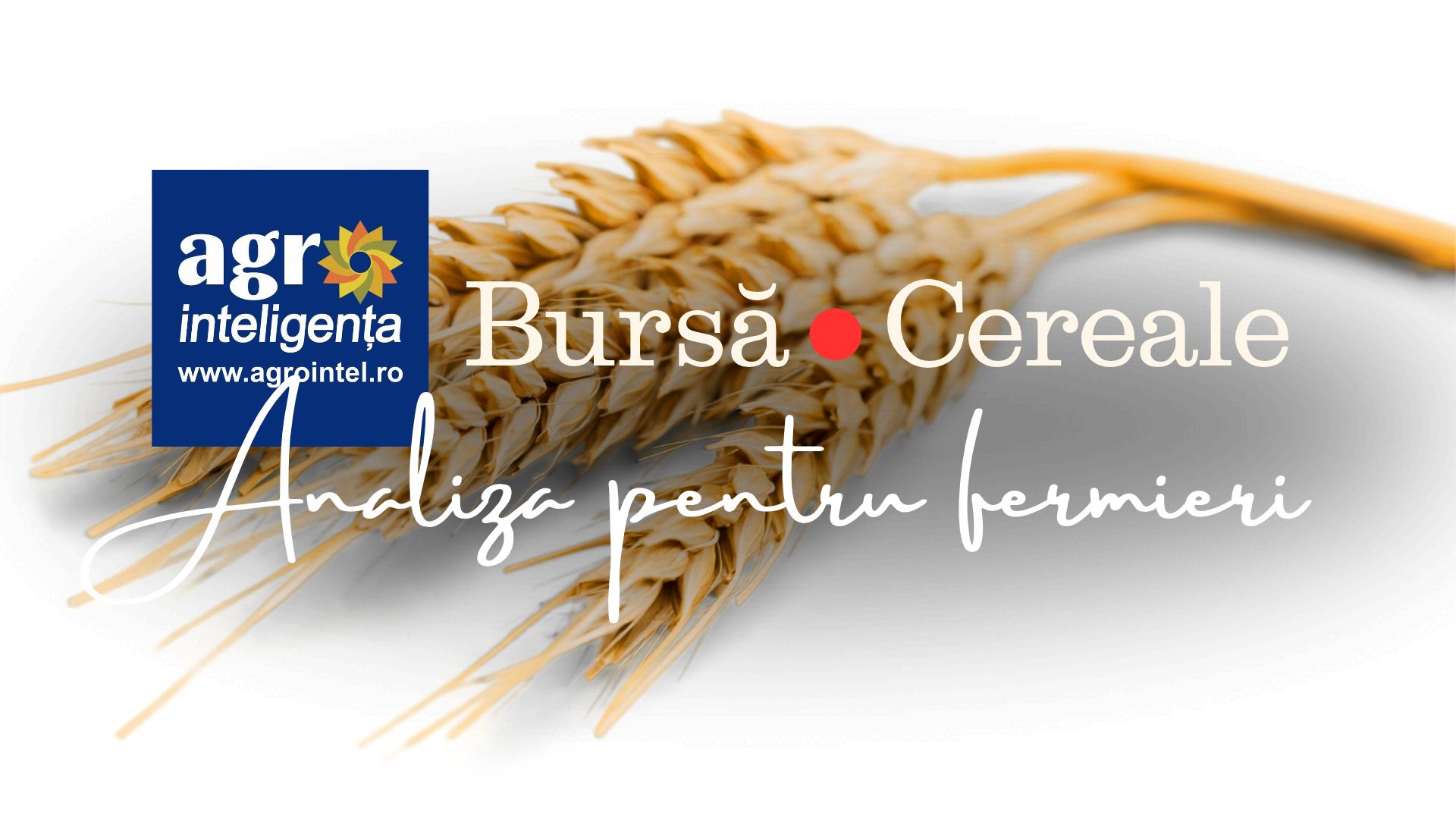 Bursa de cereale - analiză săptămânală