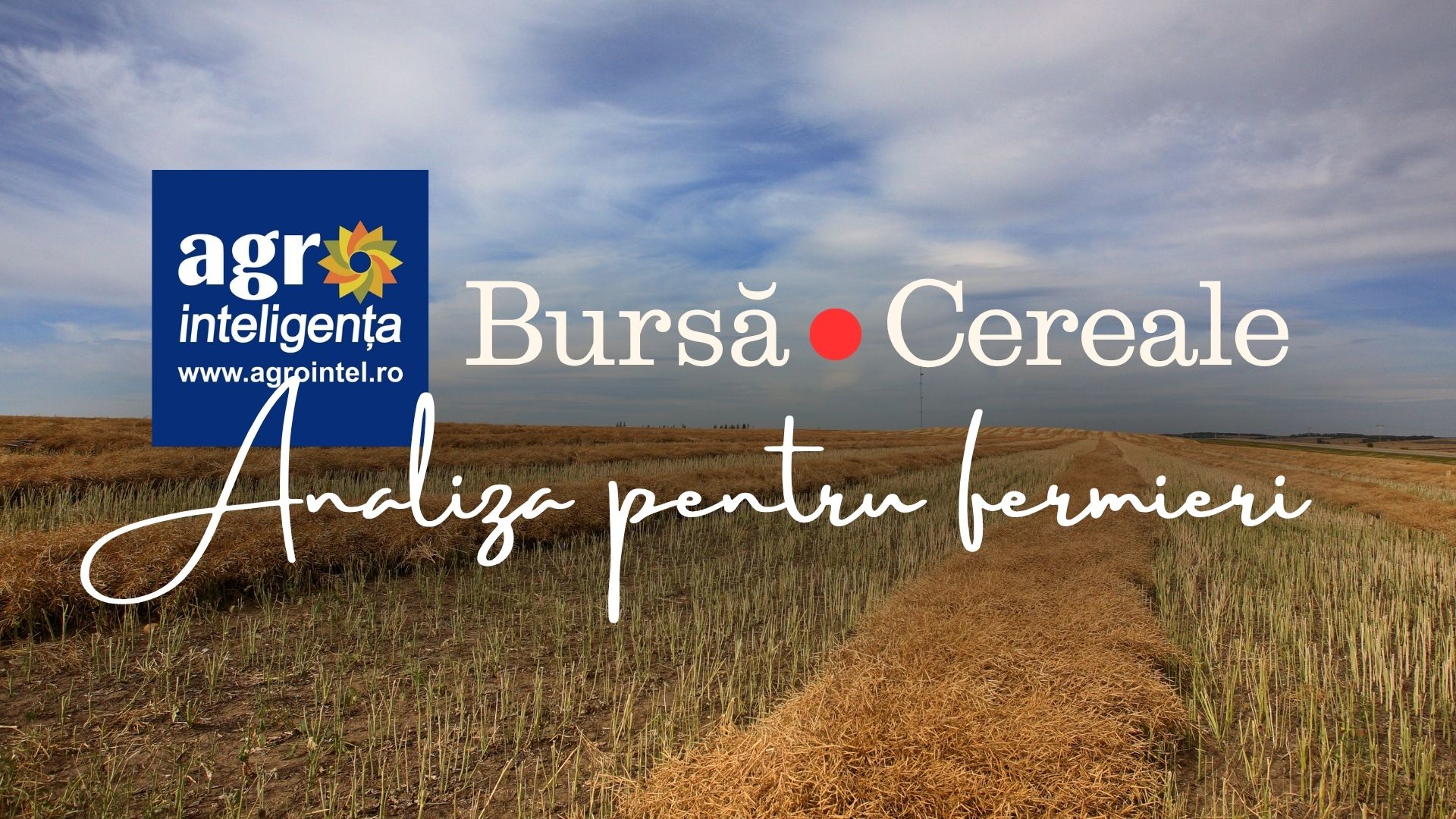 Piața de cereale - joi, 1 octombrie 2026