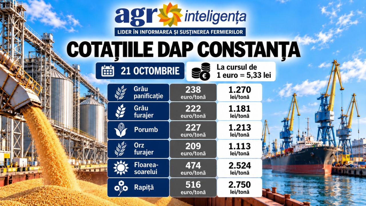 Cotații DAP Constanța - 21 octombrie 2026