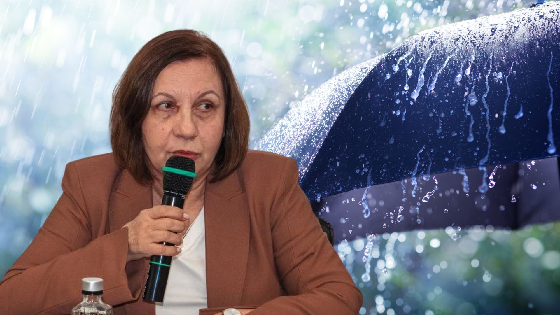Șefa ANM Elena Mateescu anunță ploi
