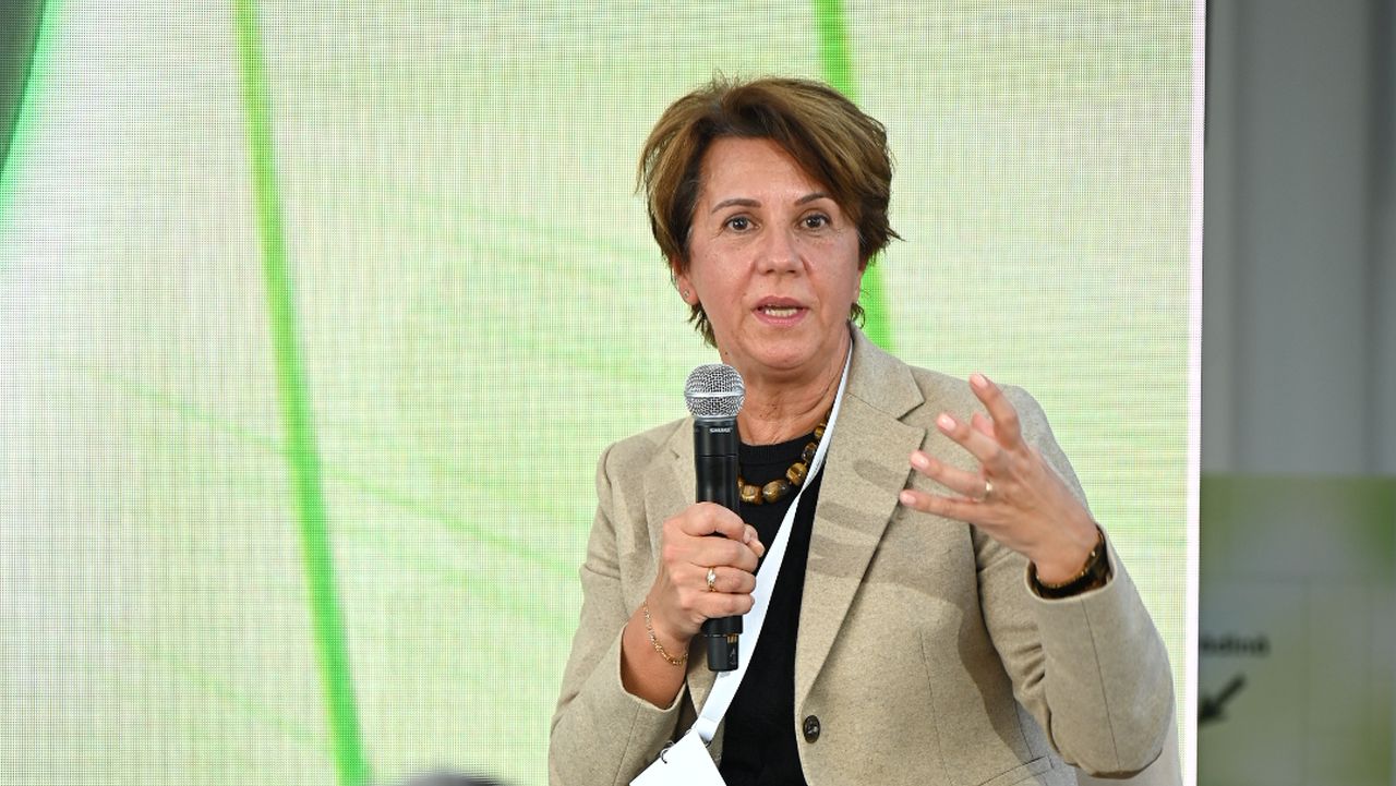 Elena Ungureanu, Country Manager Visa în România