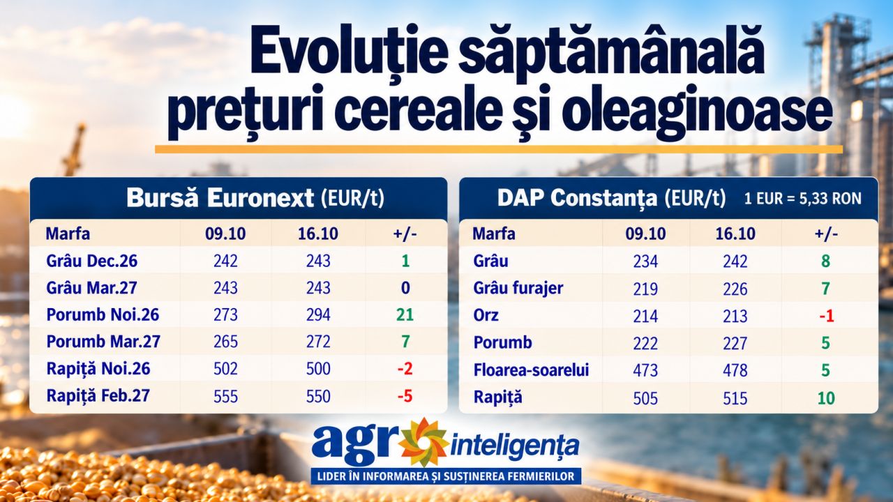 Tabel evoluție prețuri cereale