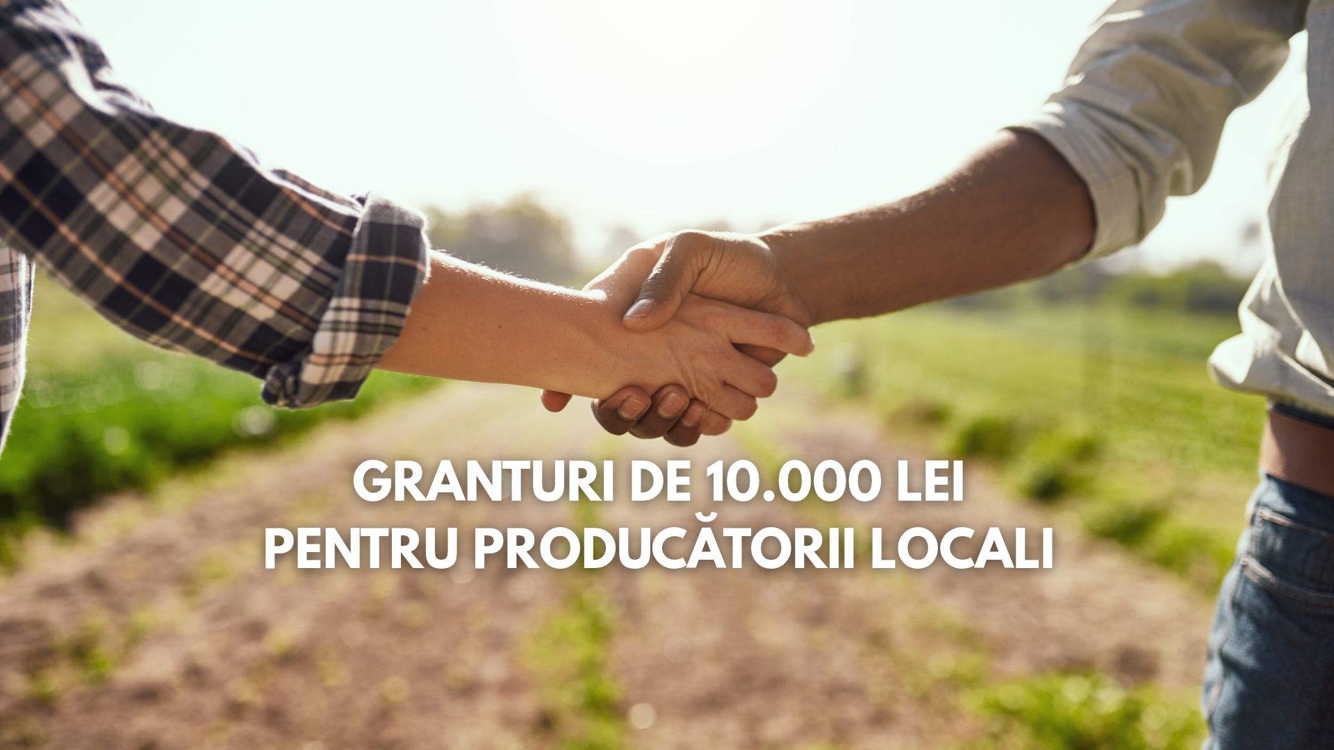 Granturi pentru producători agricoli