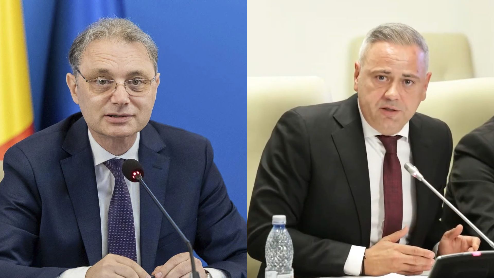 Luca Niculescu și Florin Barbu