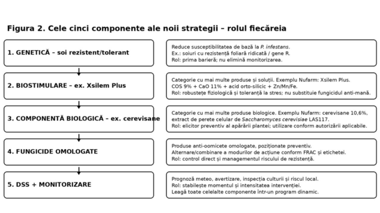 Figura 2. Cele 5 elemente ale strategiei integrate