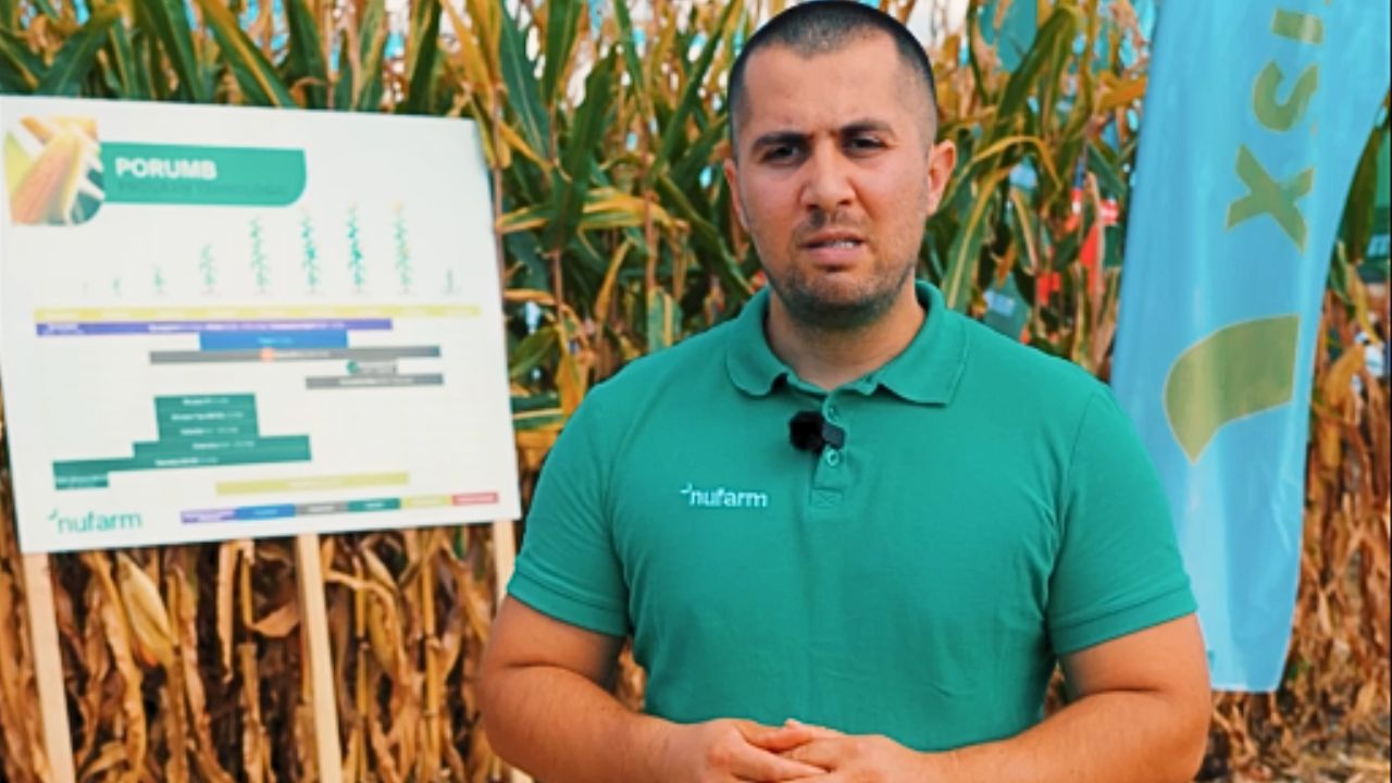 Alexandru Mincu a prezentat tehnologia Nufarm la porumb