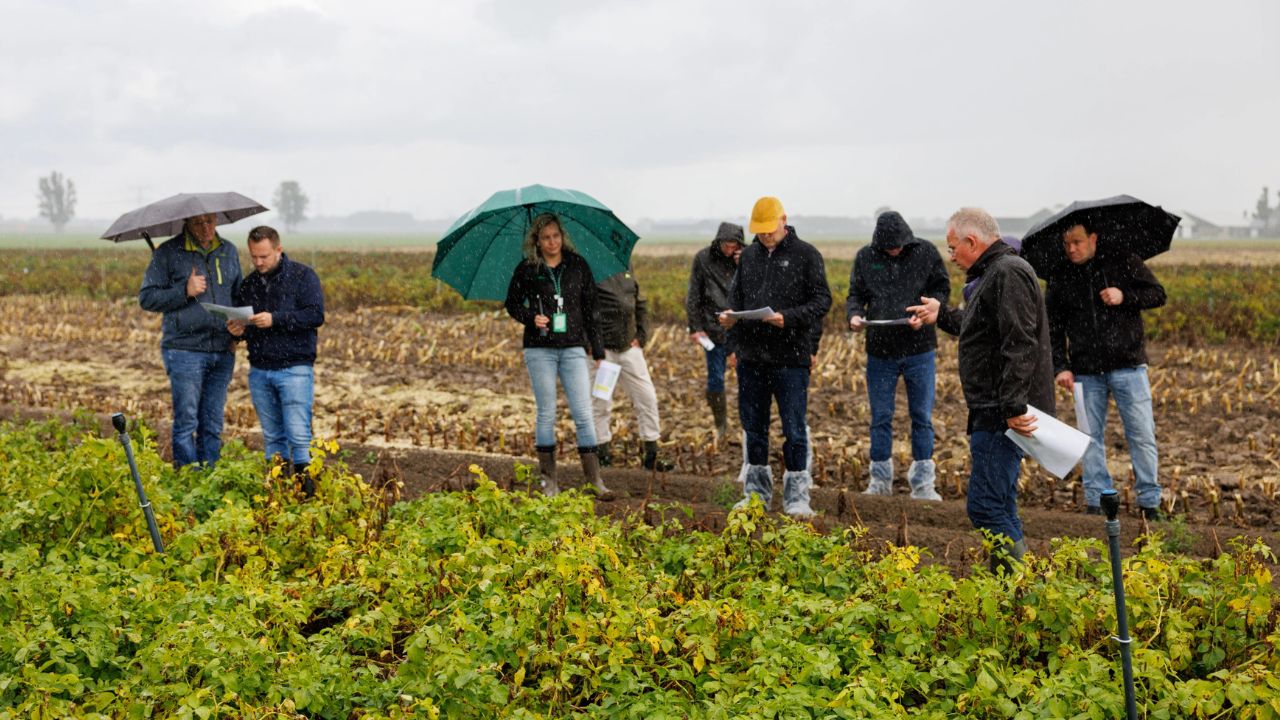 Discuțiile au avut loc pe terenurile de lânga Wageningen