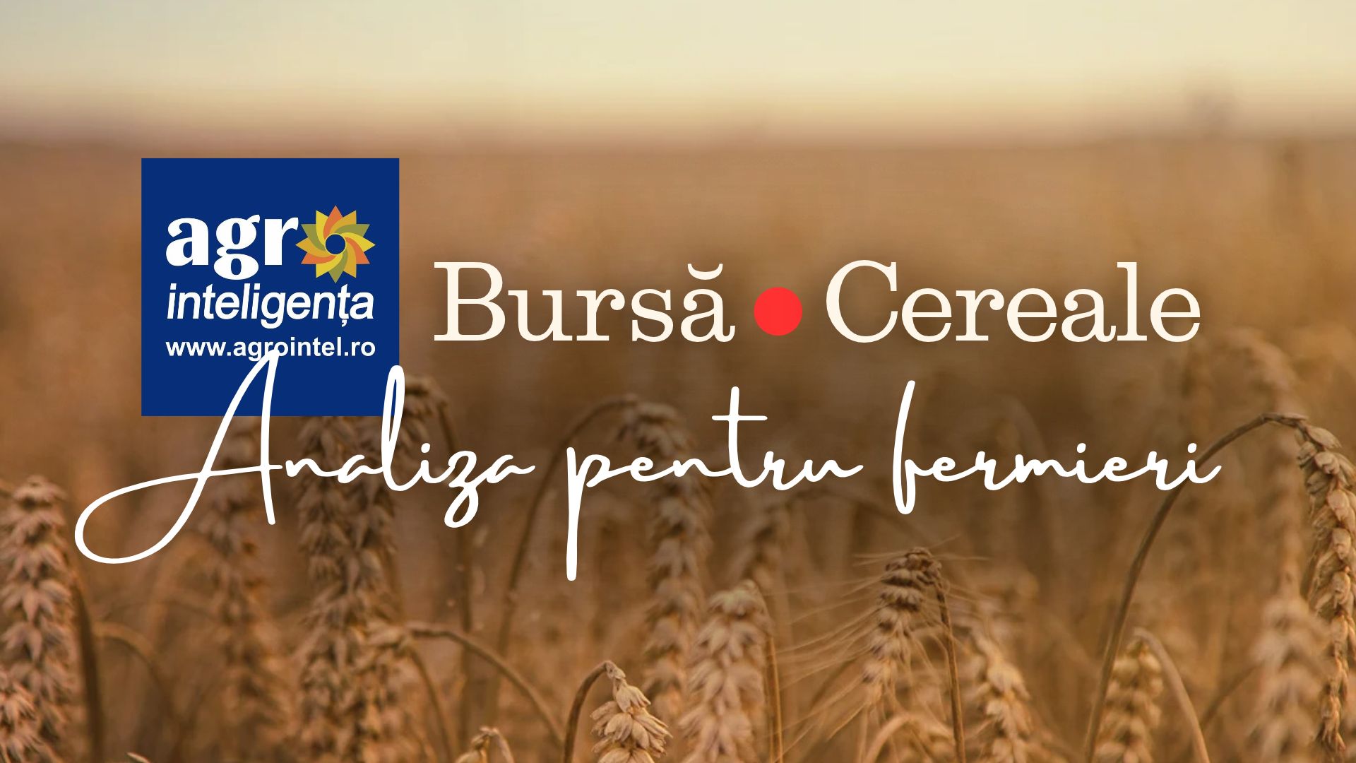 Analiză prețuri cereale