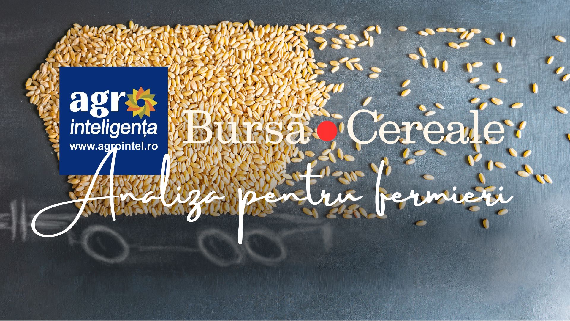Analiza pieței de cereale