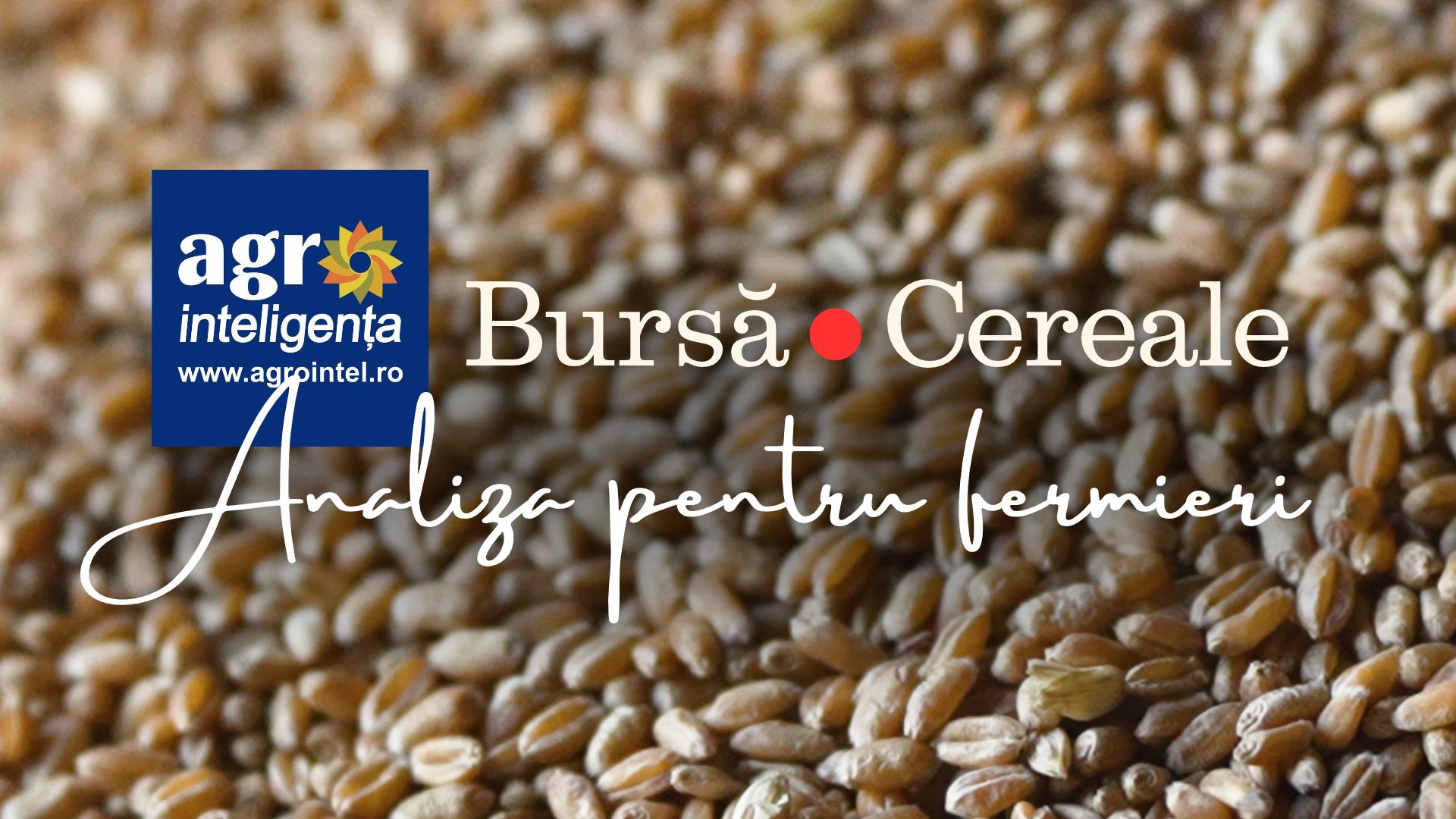 Bursa de cereale - analiza