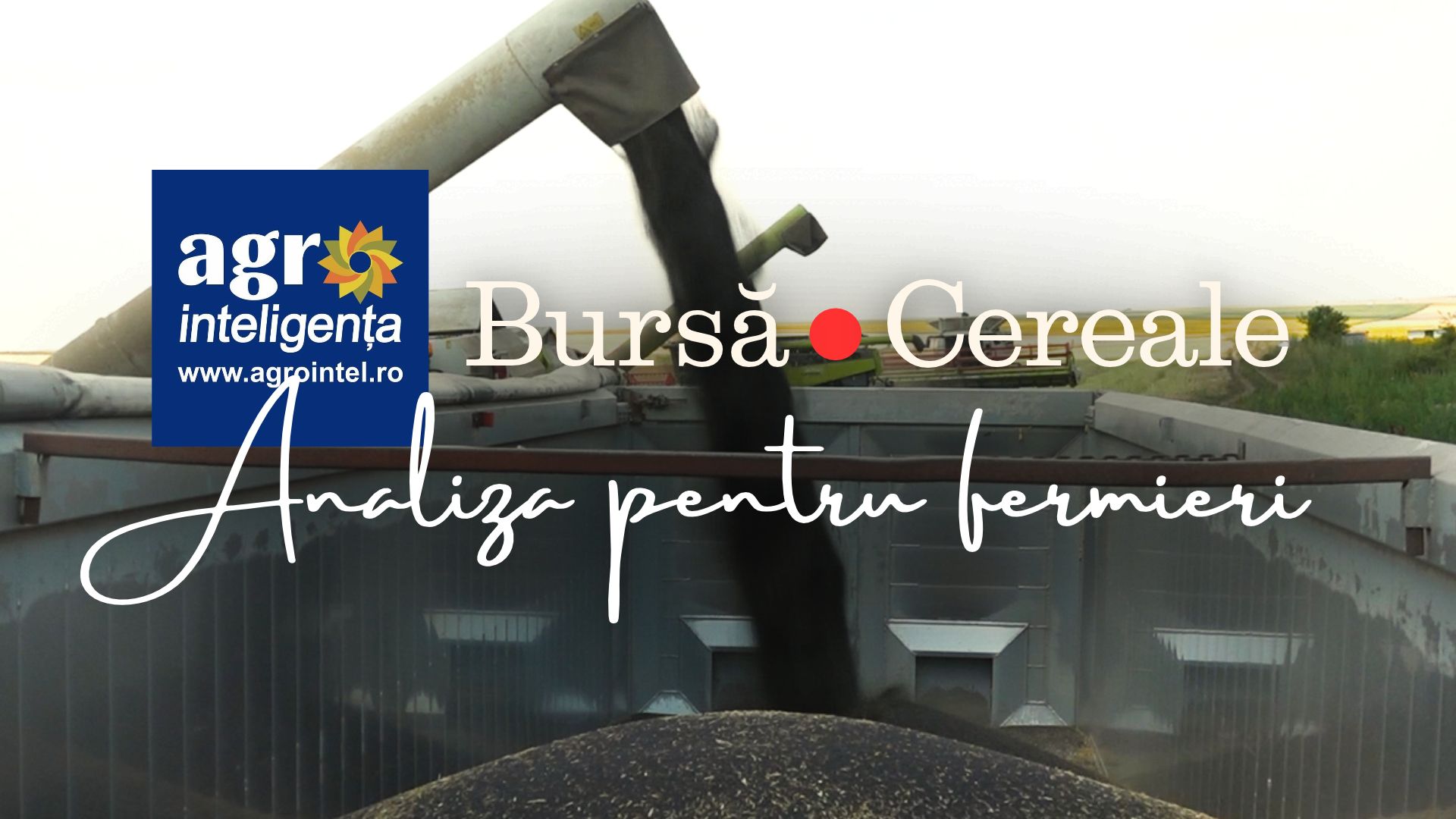 Analiza pieței de cereale - 12 octombrie 2026