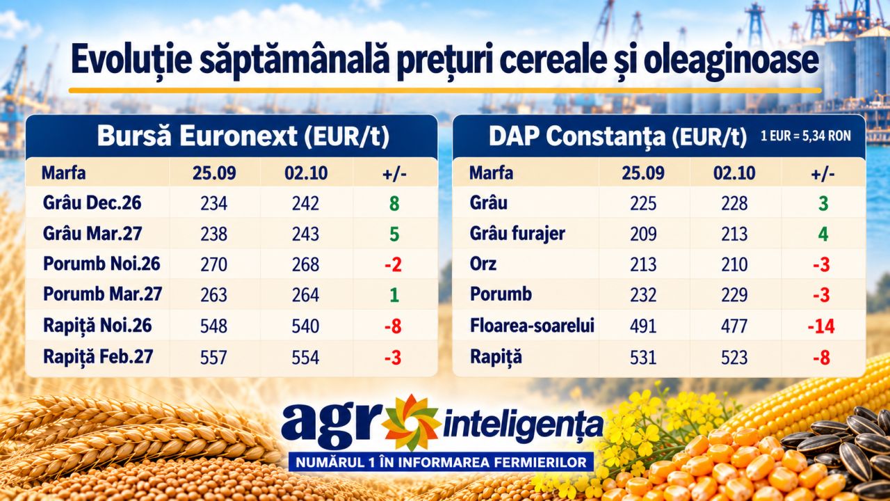 Inforgrafic prețuri cereale evolutie