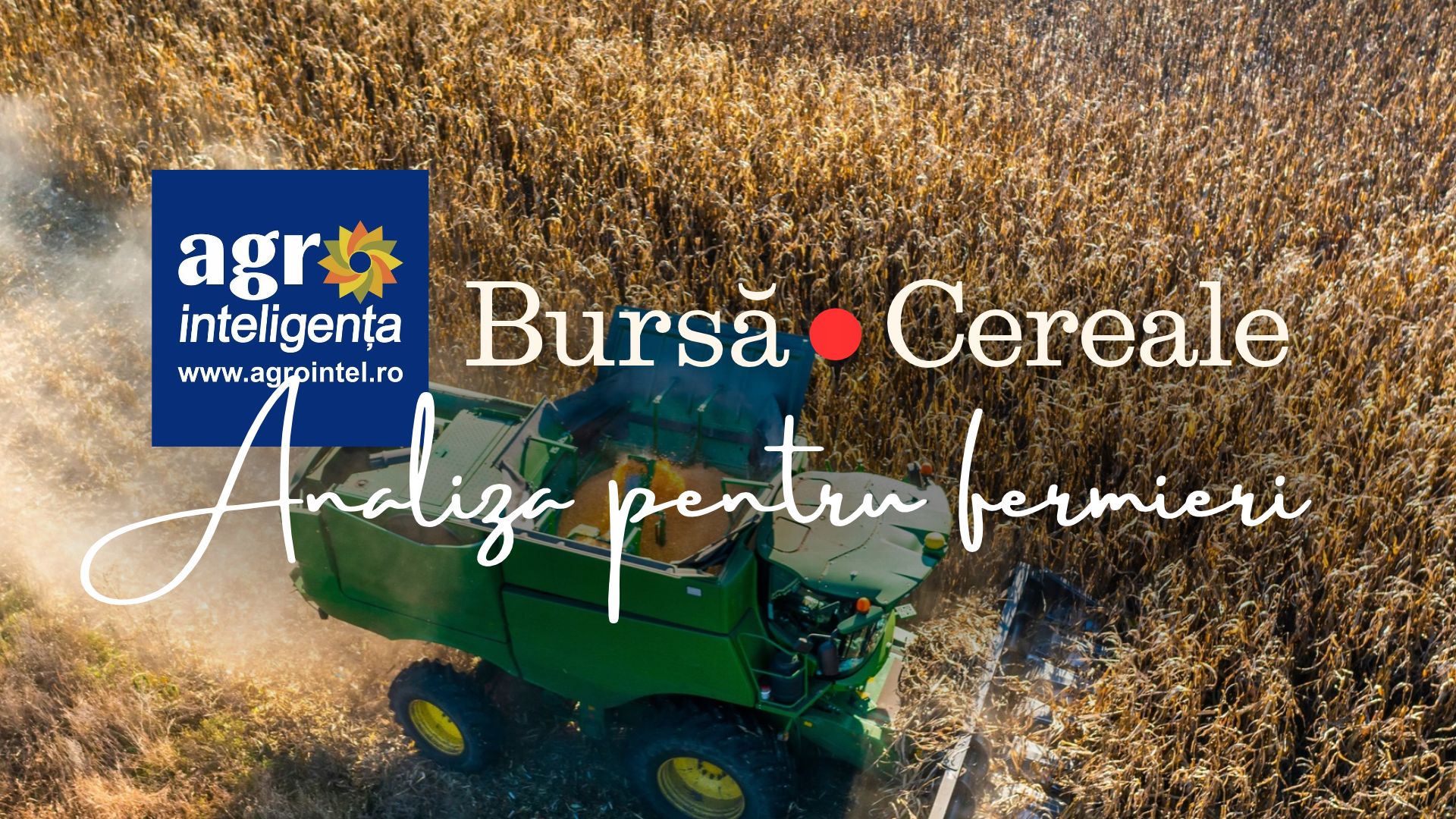 Piața cerealelor - analiză