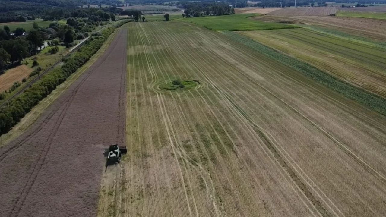 Subvenții la hectar în România și Polonia
