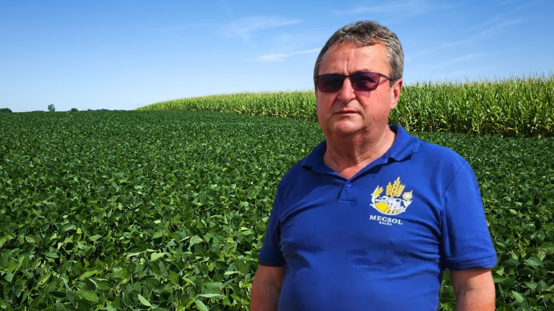 Vasile Seneșan
